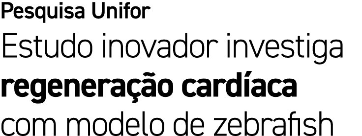 Pesquisa Unifor Estudo inovador investiga regenera o card aca com modelo de zebrafish