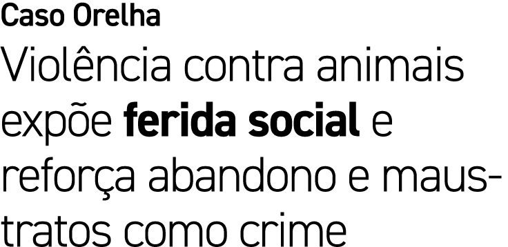 Caso Orelha Viol ncia contra animais exp e ferida social e refor a abandono e maus tratos como crime