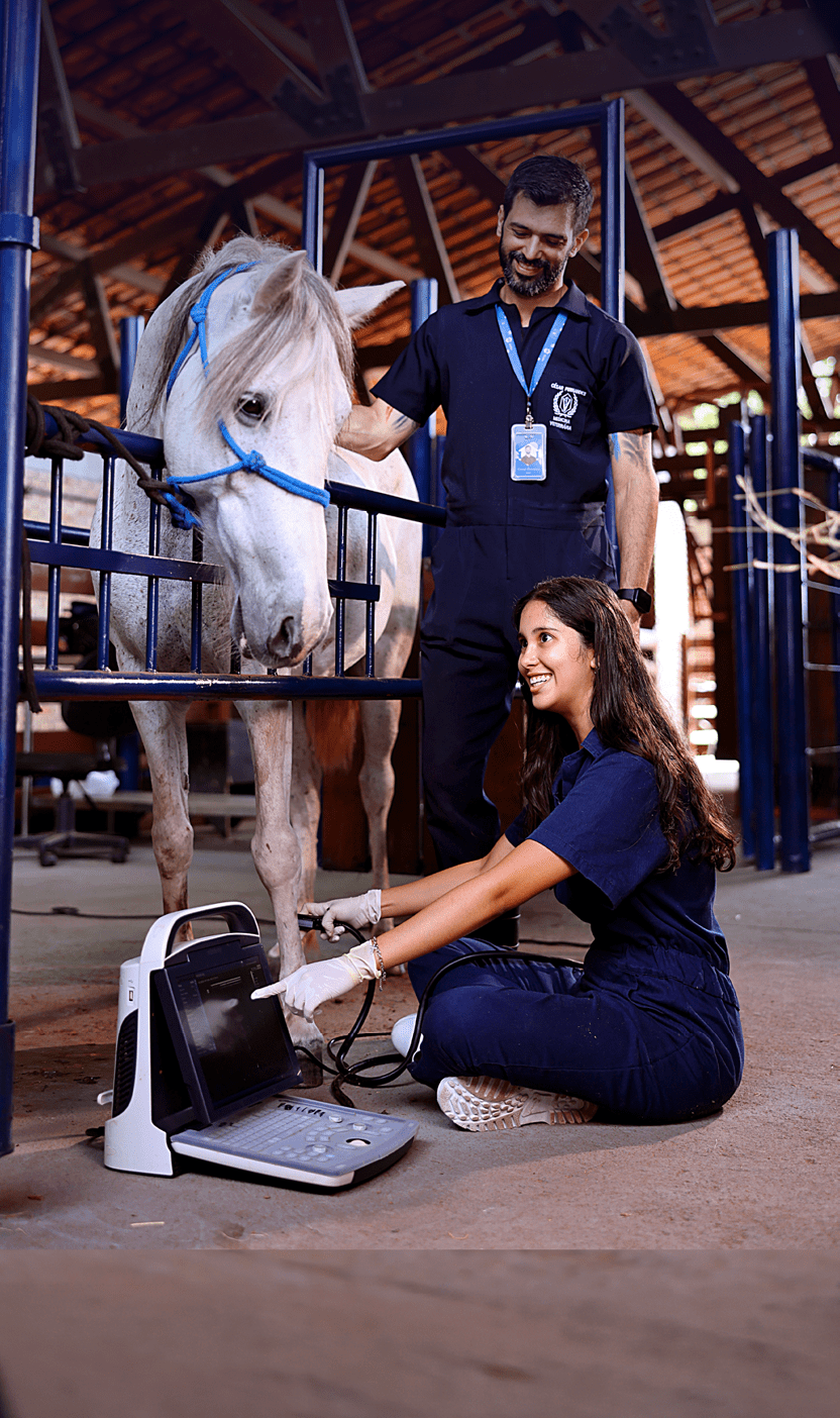Duas pessoas vestindo uniformes escuros interagem com um cavalo branco em um ambiente interno enquanto uma delas usa luvas e opera um equipamento eletr nico port til no ch o. Description generated by AI