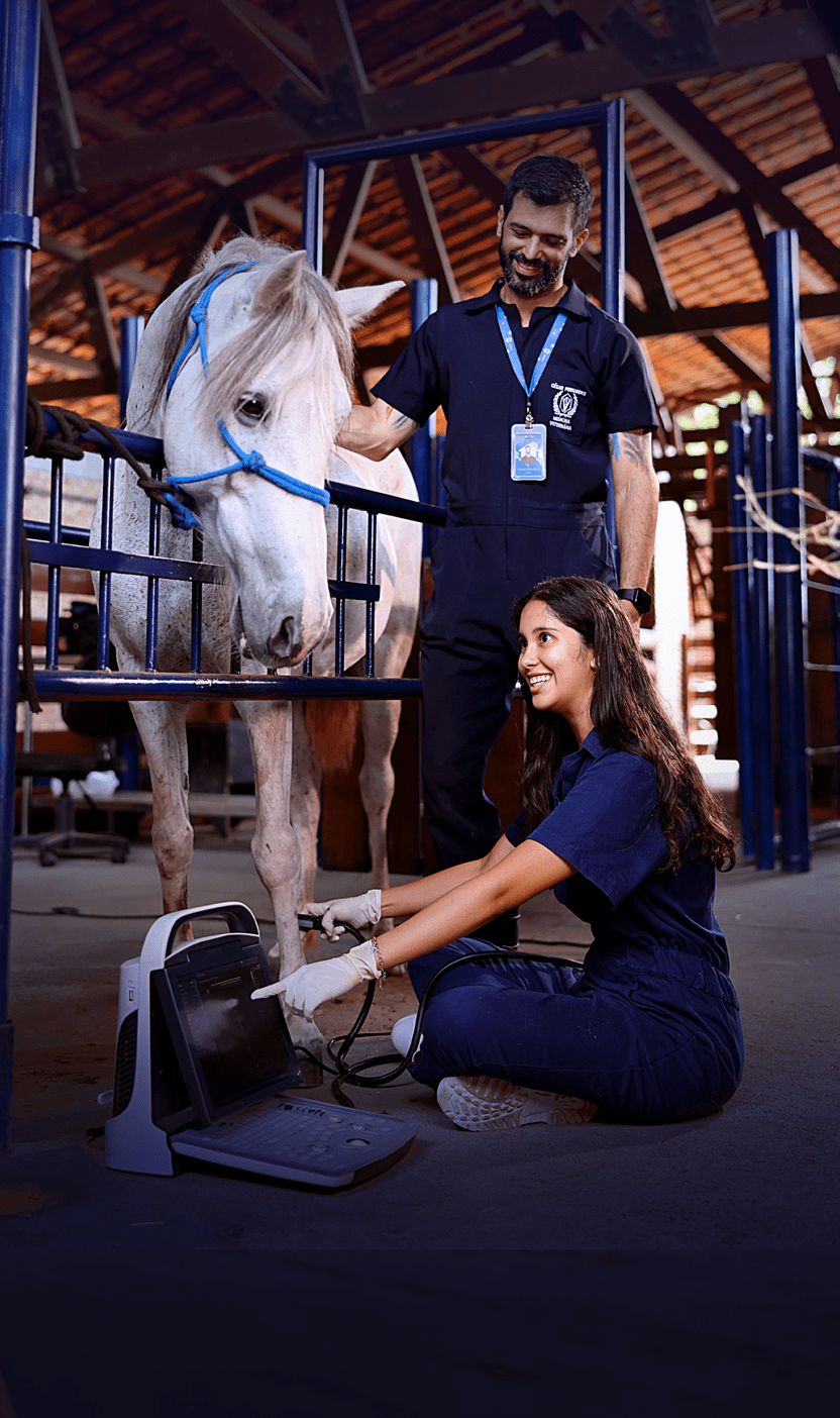 Pessoa sentada no ch o com roupa azul escura operando um equipamento eletr nico enquanto outra pessoa com crach acaricia um cavalo branco dentro de um est bulo.  Description generated by AI