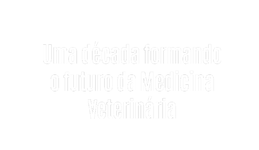 Uma frase em texto branco sobre fundo branco que diz “Uma d cada formando o futuro da Medicina Veterin ria". Description generated by AI