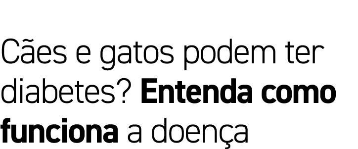 Cães e gatos podem ter diabetes  Entenda como funciona a doença