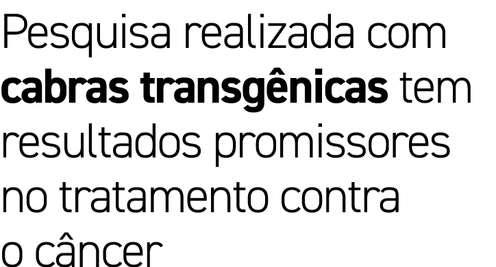 Pesquisa realizada com cabras transgênicas tem resultados promissores no tratamento contra o câncer