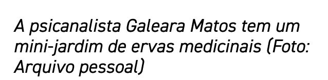 A psicanalista Galeara Matos tem um mini-jardim de ervas medicinais (Foto: Arquivo pessoal)