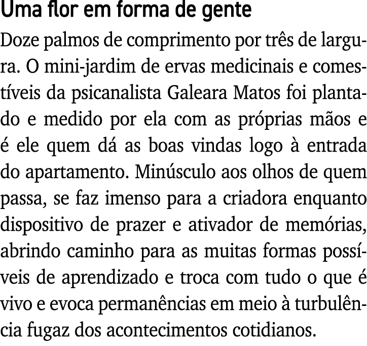 Uma flor em forma de gente Doze palmos de comprimento por três de largura  O mini-jardim de ervas medicinais e comest   