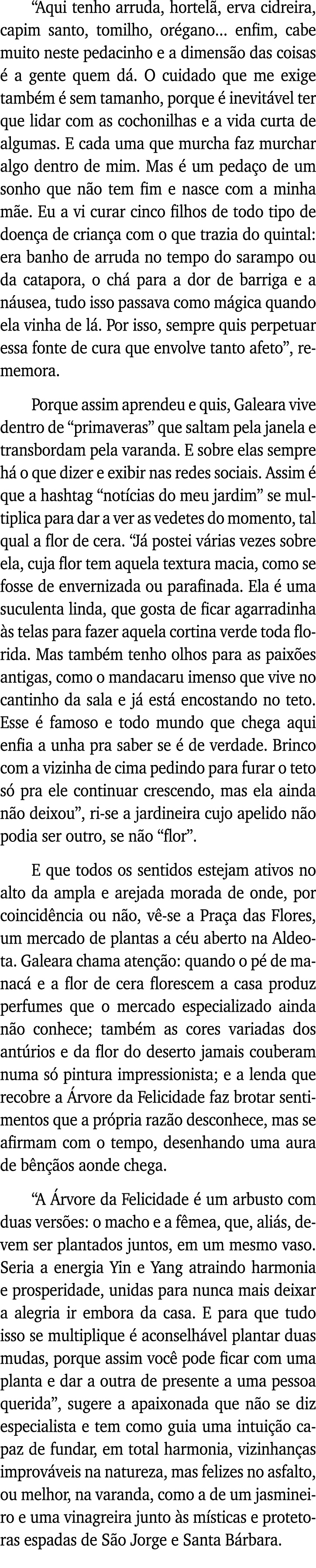  Aqui tenho arruda, hortelã, erva cidreira, capim santo, tomilho, orégano    enfim, cabe muito neste pedacinho e a di   