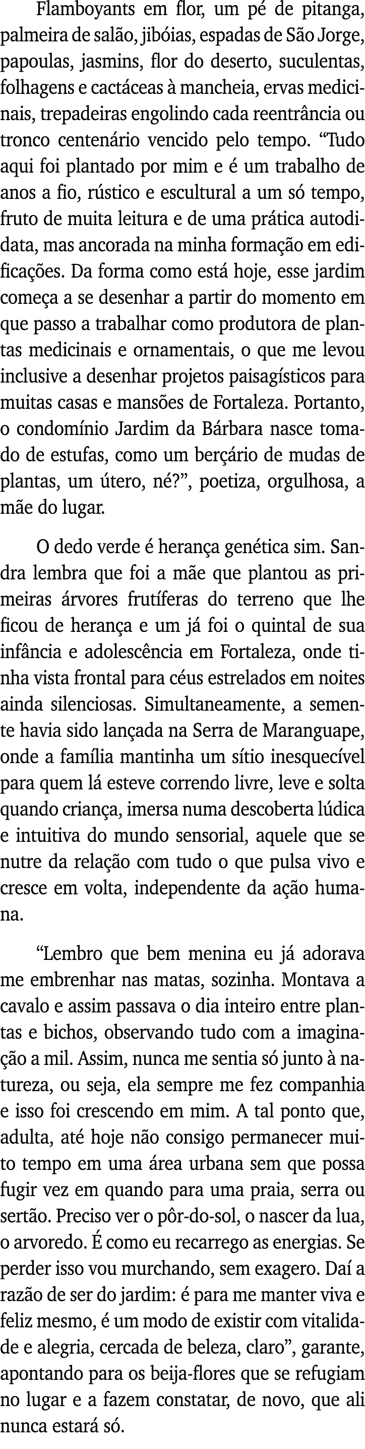 Flamboyants em flor, um pé de pitanga, palmeira de salão, jibóias, espadas de São Jorge, papoulas, jasmins, flor do d   