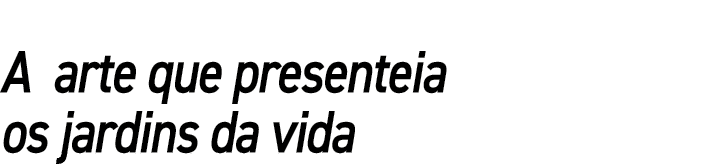 A arte que presenteia os jardins da vida