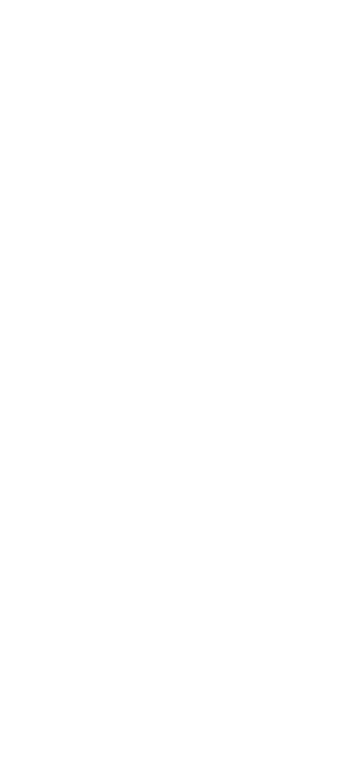 O papel dos smartphones Hoje, a fotografia digital assume diversas facetas  As câmeras digitais compactas, febre nos    