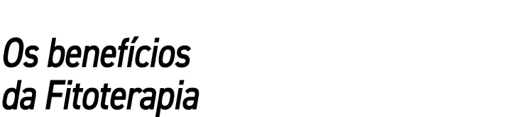 Os benefícios da Fitoterapia