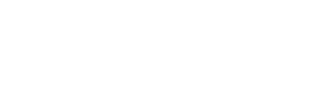 Como e por quê profissionais de áreas diversas apostam na criação de conteúdos para o TikTok