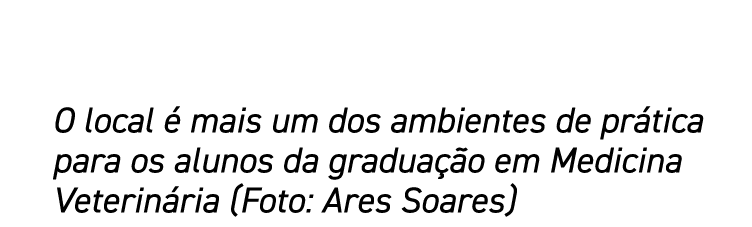 O local é mais um dos ambientes de prática para os alunos da graduação em Medicina Veterinária (Foto: Ares Soares)