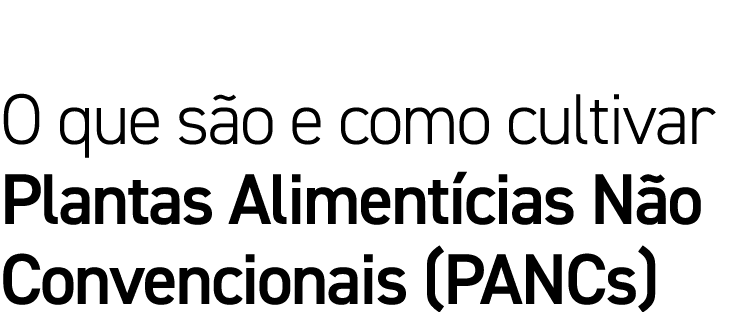 O que são e como cultivar Plantas Alimentícias Não Convencionais (PANCs) 