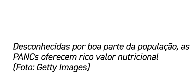 Desconhecidas por boa parte da população, as PANCs oferecem rico valor nutricional (Foto: Getty Images)