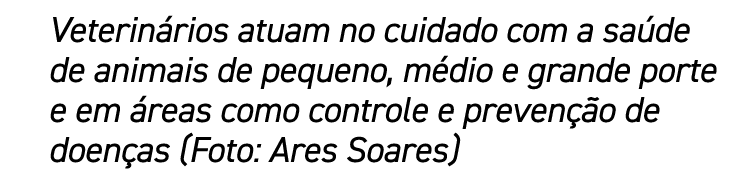 Veterinários atuam no cuidado com a saúde de animais de pequeno, médio e grande porte e em áreas como controle e prev   