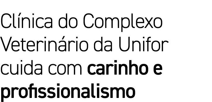 Clínica do Complexo Veterinário da Unifor cuida com carinho e profissionalismo