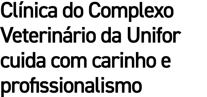 Clínica do Complexo Veterinário da Unifor cuida com carinho e profissionalismo