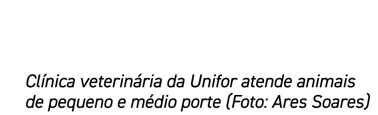 Clínica veterinária da Unifor atende animais de pequeno e médio porte (Foto: Ares Soares)